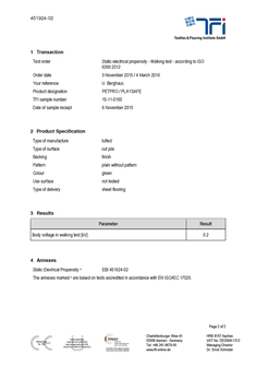 Antistatic_TFI-Report 451924-02_EN_Pagina_2